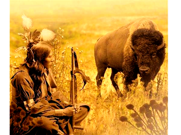 wicasa · canupa · tatanka